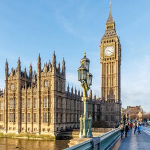 Tour of Parliament and Westminster Palace